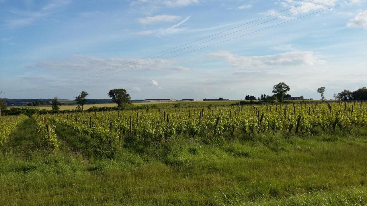 Gite-Civray-De-Touraine Maison De Denise エクステリア 写真