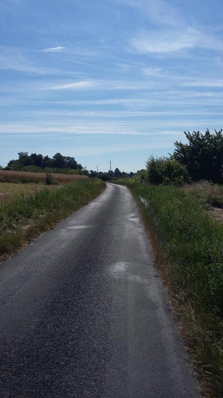 Gite-Civray-De-Touraine Maison De Denise エクステリア 写真